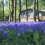 Hollicarrs - Woodland Lodge
